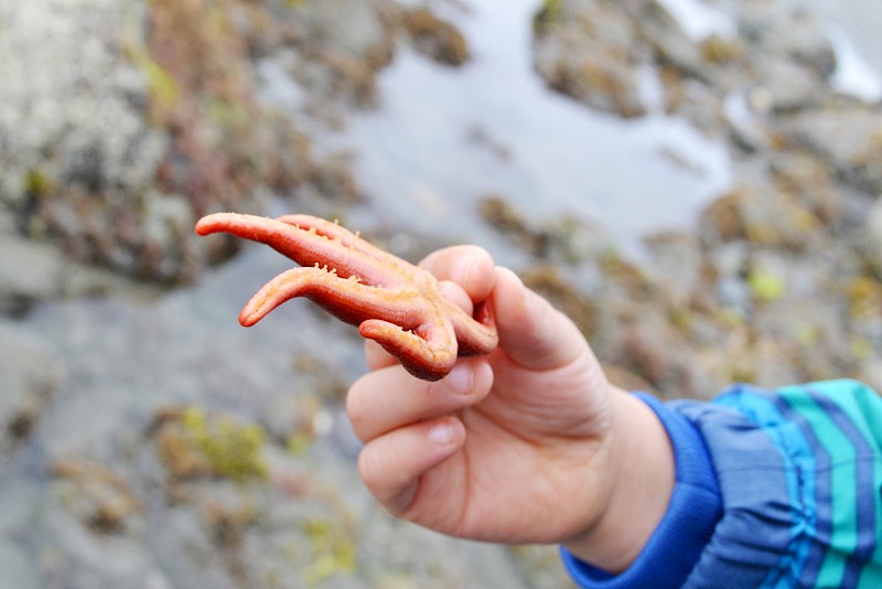 Long-Term Ecological Monitoring