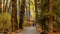 Spark Grant For An Accessible Goldstream Park