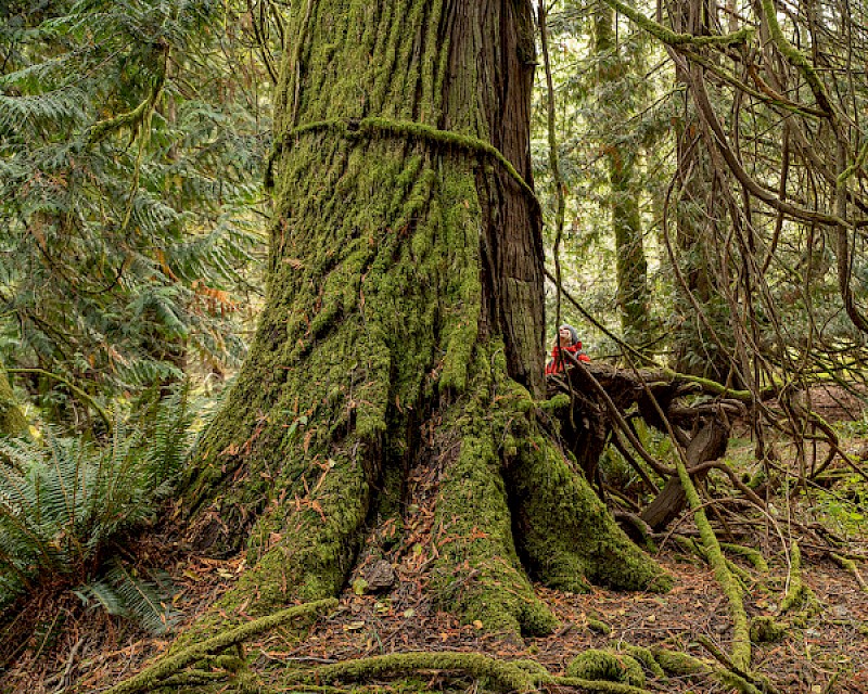 Salt Spring Island