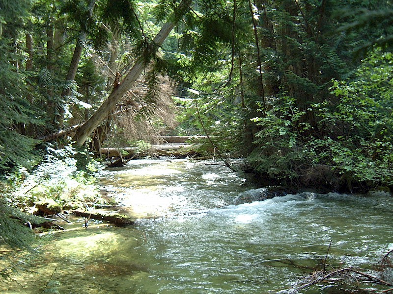 Stein Valley Guardians