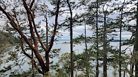 Forever Protected: A Family's Legacy Expands Old Growth Protection Next to East Sooke Regional Park