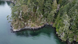 Funders Come Together to Protect Fragile Ecosystems on Southern Vancouver Island