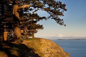 Crowdfunding Campaign Protects Large Waterfront Property on Saturna Island