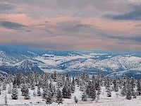 You Can Protect a Rare Juniper Ridge Natural Treasure!