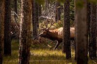 BC Conservation Fund Gets Rolling