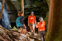 Live Your Best Summer in Parks with DiscoverParks.ca and Park Ambassadors! 