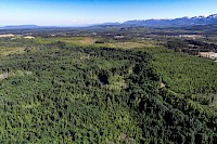 Youth Climate Corps BC Begins Conservation Work at Morrison Headwaters with BC Parks Foundation 
