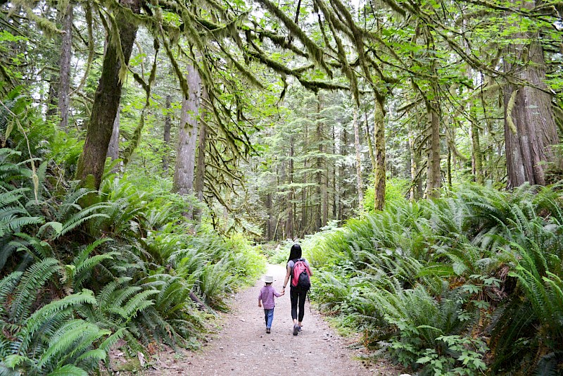 Golden Ears Provincial Park